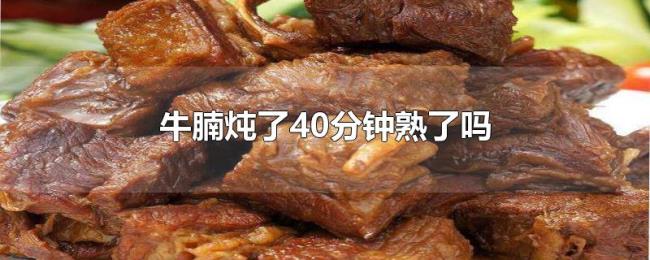 牛腩炖了40分钟熟了吗 牛腩炖了40分钟熟了吗