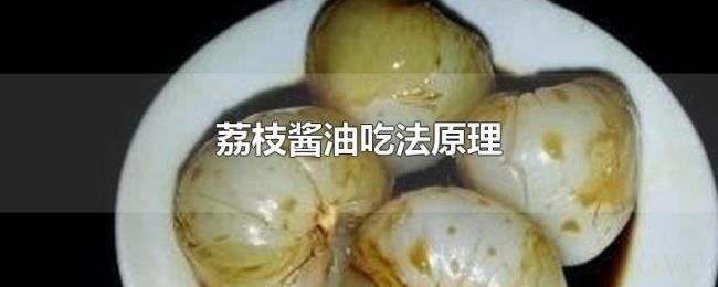 荔枝酱油吃法原理 荔枝酱油吃法原理