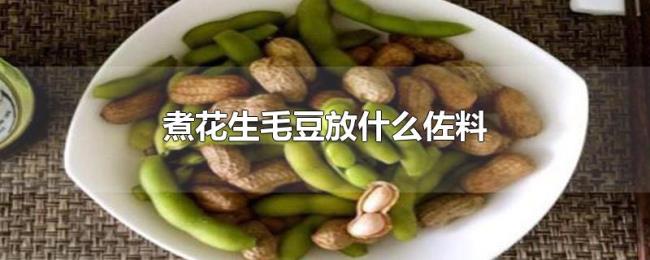 煮花生毛豆放什么佐料 煮花生毛豆放什么佐料