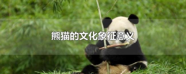 熊猫的文化象征意义