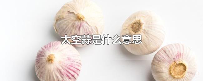 太空蒜是什么意思 太空蒜是什么意思