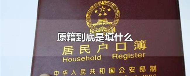 原籍到底是填什么 原籍到底是填什么