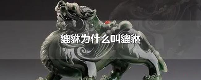 貔貅为什么叫貔貅