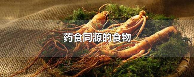药食同源的食物 药食同源的食物