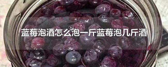 蓝莓泡酒怎么泡一斤蓝莓泡几斤酒