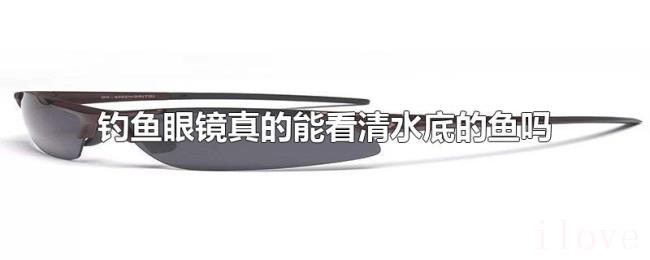 钓鱼眼镜真的能看清水底的鱼吗 钓鱼眼镜真的能看清水底的鱼吗