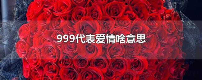 999代表爱情啥意思 999代表爱情啥意思