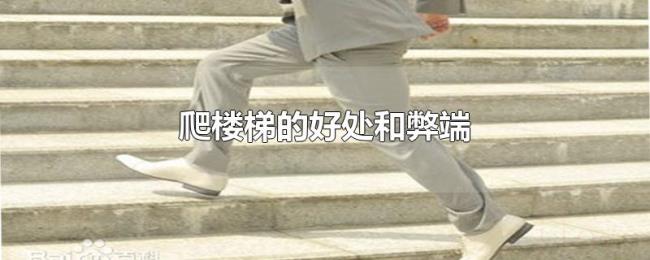 爬楼梯的好处和弊端