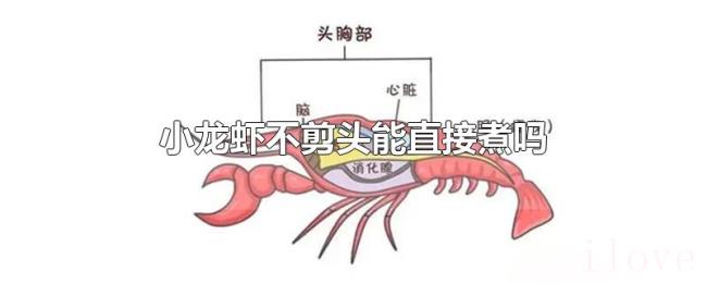 小龙虾不剪头能直接煮吗 小龙虾不剪头能直接煮吗