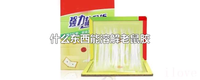 什么东西能溶解老鼠胶 什么东西能溶解老鼠胶