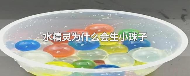 水精灵为什么会生小珠子 水精灵为什么会生小珠子