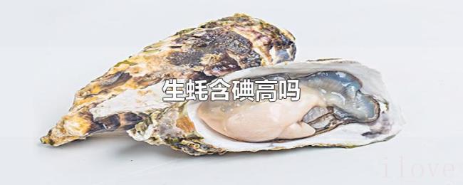 生蚝含碘高吗 生蚝含碘高吗