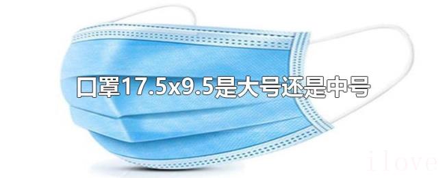 口罩17.5x9.5是大号还是中号