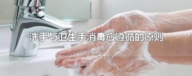 洗手与卫生手消毒应遵循的原则 洗手与卫生手消毒应遵循的原则