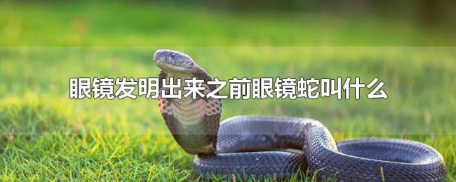 眼镜发明出来之前眼镜蛇叫什么 眼镜发明出来之前眼镜蛇叫什么