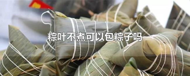 粽叶不煮可以包粽子吗 粽叶不煮可以包粽子吗