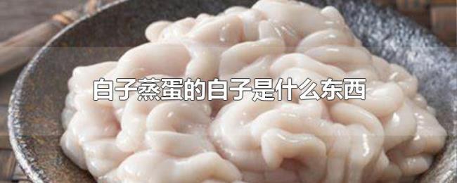 白子蒸蛋的白子是什么东西 白子蒸蛋的白子是什么东西