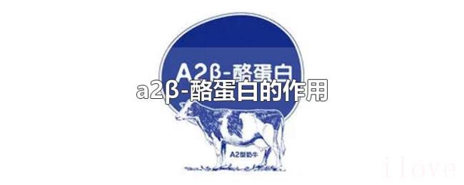 a2β-酪蛋白的作用 a2β-酪蛋白的作用