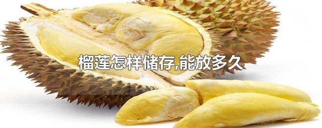榴莲怎样储存,能放多久 榴莲怎样储存,能放多久