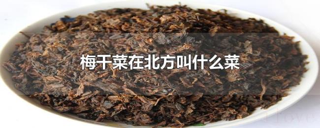 梅干菜在北方叫什么菜 梅干菜在北方叫什么菜