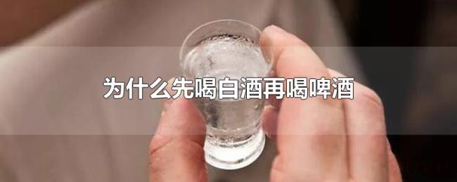 为什么先喝白酒再喝啤酒 为什么先喝白酒再喝啤酒