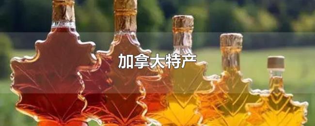 加拿大特产
