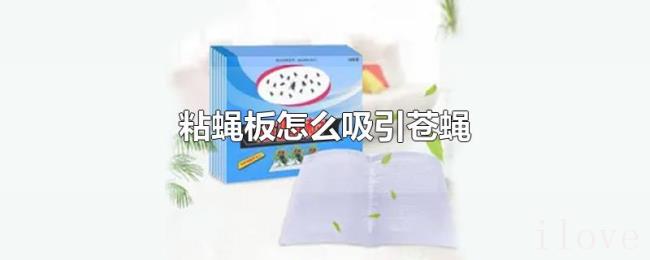 粘蝇板怎么吸引苍蝇