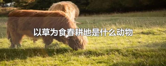 以草为食春耕地是什么动物