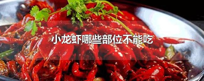 小龙虾哪些部位不能吃 小龙虾哪些部位不能吃