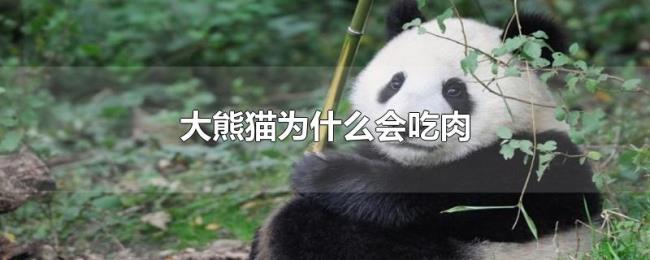珍珠产地 珍珠产地