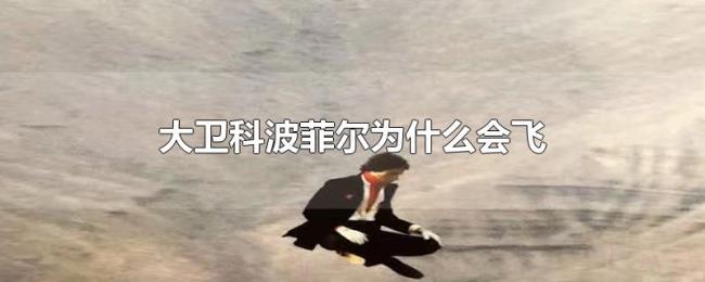 大卫科波菲尔为什么会飞 大卫科波菲尔为什么会飞