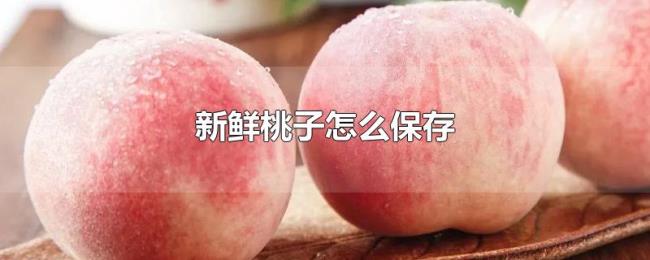 新鲜桃子怎么保存 新鲜桃子怎么保存