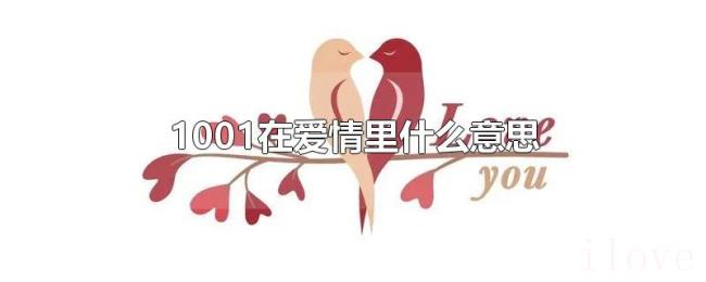 1001在爱情里什么意思 1001在爱情里什么意思