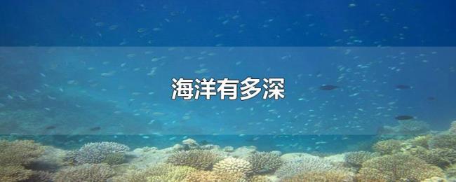 海洋有多深