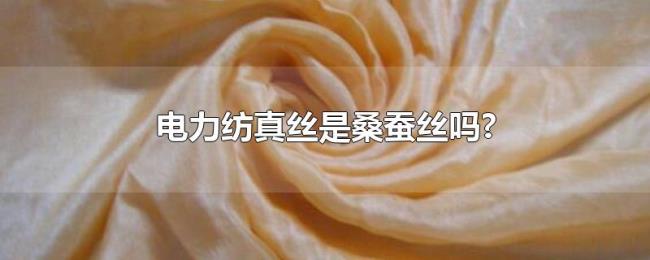 电力纺真丝是桑蚕丝吗? 电力纺真丝是桑蚕丝吗?