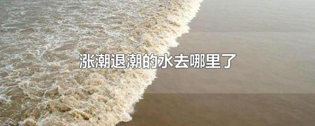涨潮退潮的水去哪里了