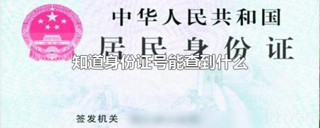 知道身份证号能查到什么 知道身份证号能查到什么