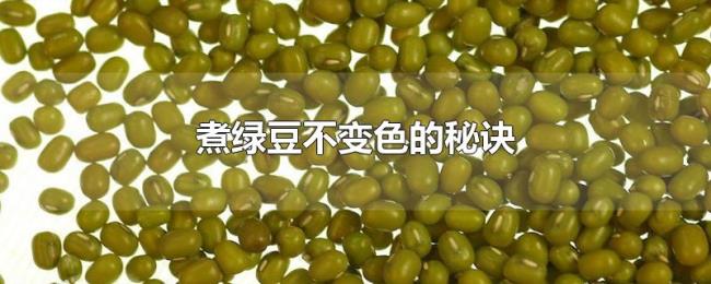 煮绿豆不变色的秘诀