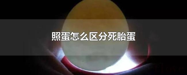 照蛋怎么区分死胎蛋 照蛋怎么区分死胎蛋