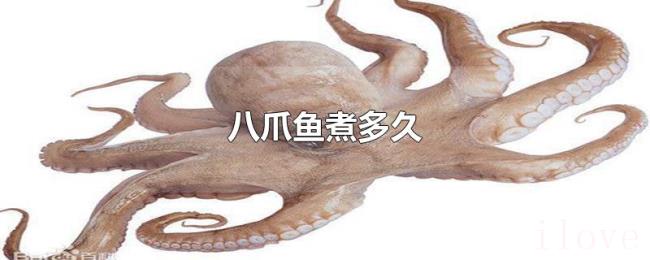 八爪鱼煮多久 八爪鱼煮多久
