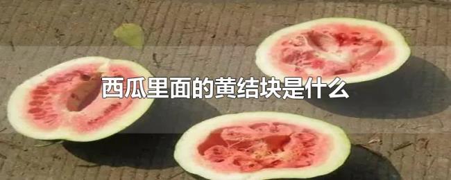西瓜里面的黄结块是什么