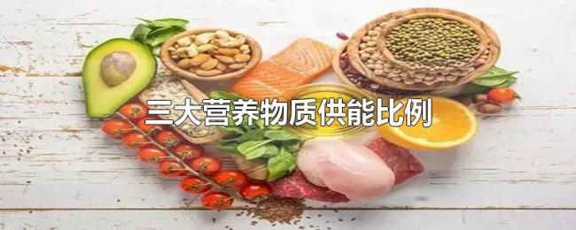 三大营养物质供能比例