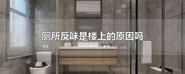 厕所反味是楼上的原因吗 厕所反味是楼上的原因吗