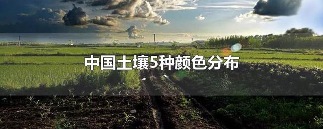 中国土壤5种颜色分布