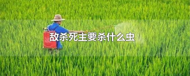 敌杀死主要杀什么虫