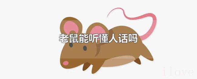 老鼠能听懂人话吗 老鼠能听懂人话吗