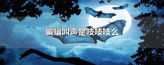 蝙蝠叫声是吱吱吱么 蝙蝠叫声是吱吱吱么