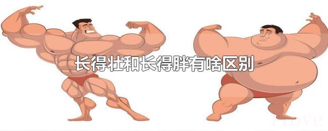 长得壮和长得胖有啥区别 长得壮和长得胖有啥区别