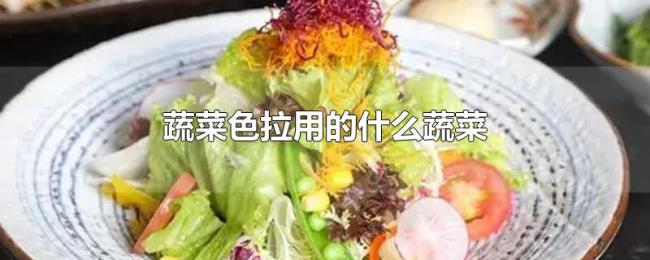 蔬菜色拉用的什么蔬菜 蔬菜色拉用的什么蔬菜