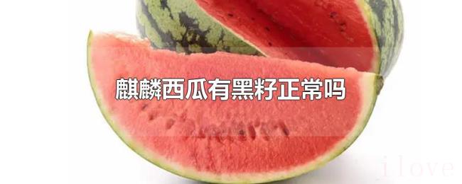 麒麟西瓜有黑籽正常吗 麒麟西瓜有黑籽正常吗